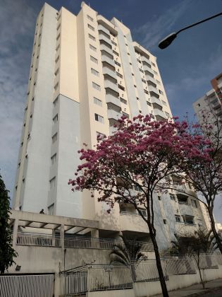 Apartamento aluguel VILA LUCIA São Paulo Apartamento aluguel VILA LUCIA São Paulo