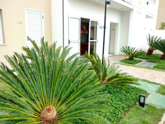Apartamento aluguel JARDIM NOVE DE JULHO São Paulo Apartamento aluguel JARDIM NOVE DE JULHO São Paulo